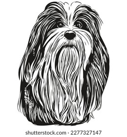 Havanese Hund, Vektorgrafik, handgezeichnet, Kunstpflücke Logo schwarz-weiß
