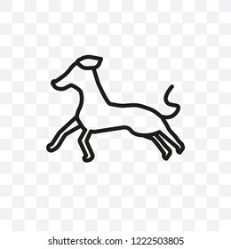 Havanese dog vector linear icon isolated on transparent background, Havanese dog transparency concept can be used for web and mobile