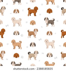 Havapoo seamless pattern. Havanese Poodle mix. Different coat colors set.  Vector illustration