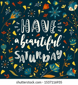 Have a beautiful Saturday. Vector lettering quote. Hand drawn text for card, poster, banner, t-shirt or packaging design.