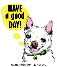 Have a good day! 
Cute dog wearing a collar smiling . Good puppy . Card , print on t-shirt , poster .