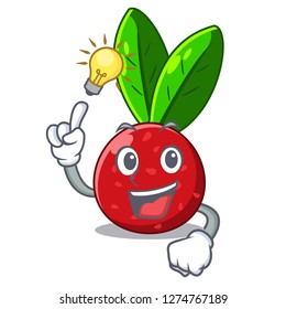 Have an idea fruit yangmei isolated on the mascot