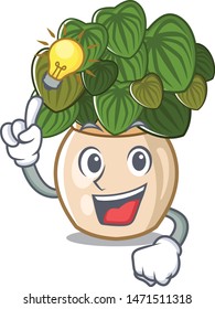 Have an idea peperomia with in the cartoon shape