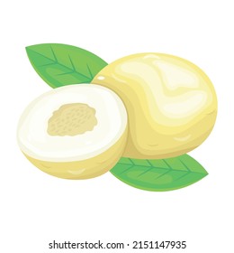 Have a look at this isometric icon of cucumis melo

