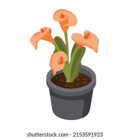 Have a look at this isometric icon of flower pot 

