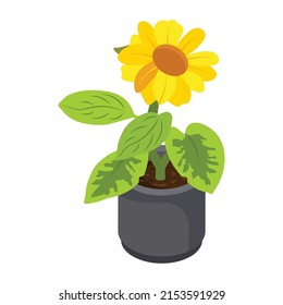 Have a look at this isometric icon of flower pot 

