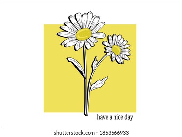 have a nice day with daisy flower