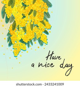 Have a nice day greeting card with yellow Mimosa flowers tree bloom. Motivation, wishing poster, banner, web