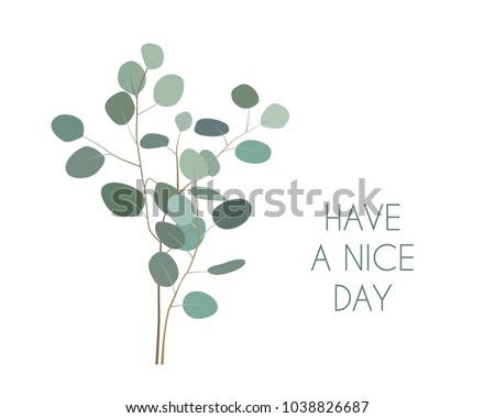 Have a nice Day greeting card with silver dollar Eucalyptus plant branches. Hand painted eucalyptus elements isolated on white background