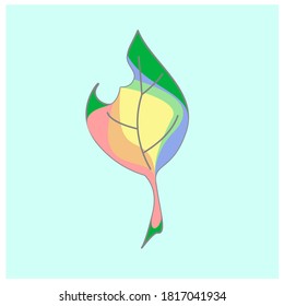 have you ever seen the rainbow leaf