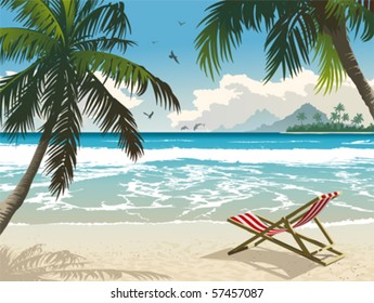 Hawaii beach. Vector illustration of the tropical beach.