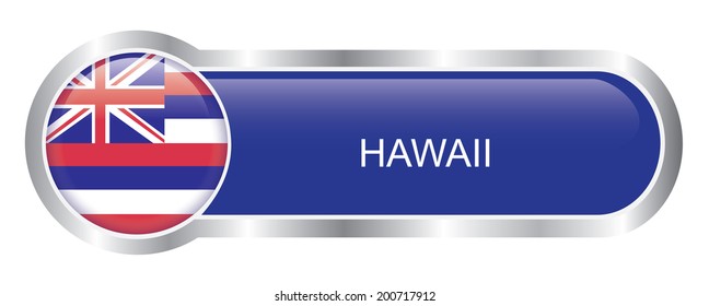 Hawaii Flag glossy banner