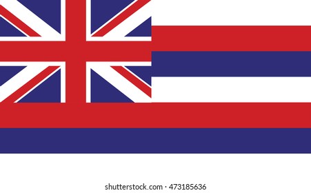 Hawaii Flag Vector