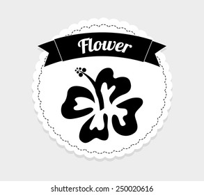 hawaii flower design, vector illustration eps10 graphic 