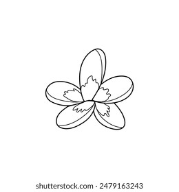 Hawaii flower. Vector lineart illustration. Coloring book antistress for children and adults
