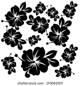 Hawaii flowers black and white pattern