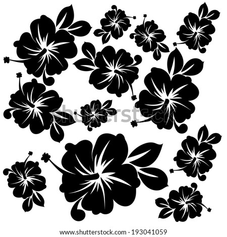 Hawaii Flowers Black White Pattern Stock Vector (Royalty Free ...