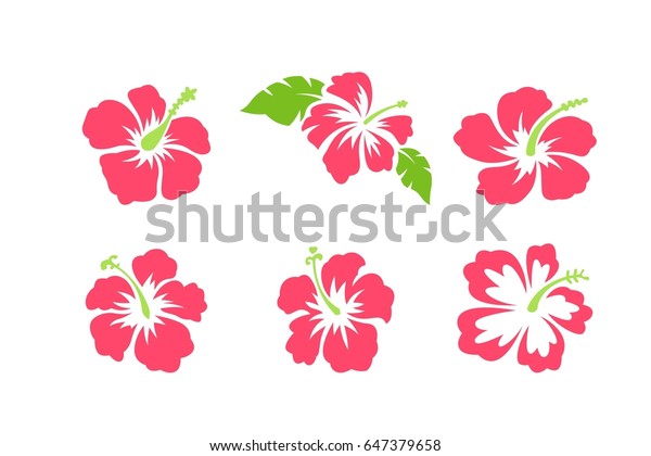 Hawaii Flowers Vector Graphics Stock Vector (Royalty Free) 647379658