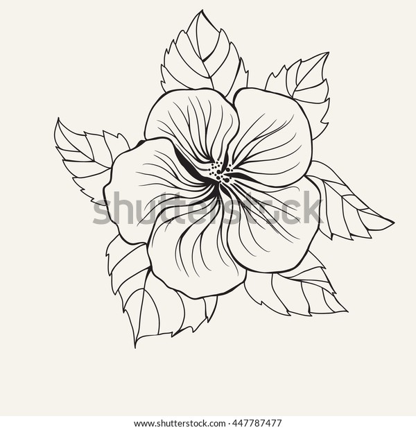 Hawaii Hibiscus Flower Leaf Coloring Book Stock Vector (Royalty Free