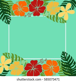 hawaii illustration vector
