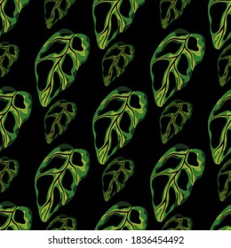 Hawaii monstera leaves seamless pattern. Botanic tropical shapes in green color on black background. Perfect for fabric design, textile print, wrapping, cover. Vector illustration