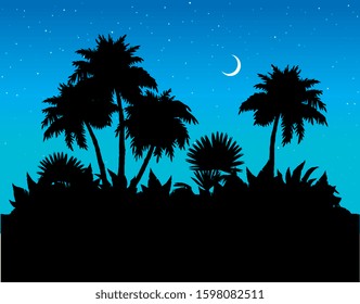 Hawaii resort beach land scenic view on space for text on blue nighttime crescent heaven backdrop. Dark color drawn big lush coco twig foliage pattern design symbol in art graphic cartoon vector style