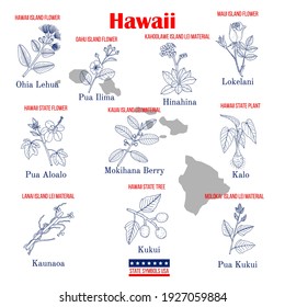 Hawaii. Set of USA official state symbols. Vector hand drawn illustration