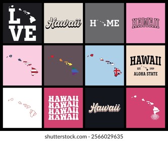 Hawaii state t shirt design