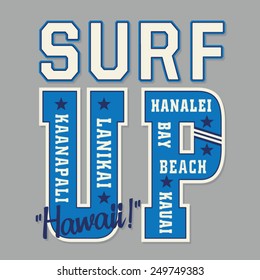 Hawaii surf typography, t)-shirt graphics, vectors