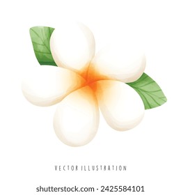 Hawaii Travel Collection, Watercolor of Frangipani, Vector Illustration