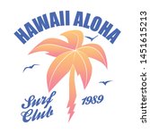 Hawaii - vector illustration for t-shirt and other print production. Palms, wave and sun creative logo badge. Summer vacation concept. Design elements.