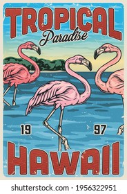Hawaiian exotic vintage colorful poster with beautiful pink flamingos standing in ocean on tropical island landscape vector illustration