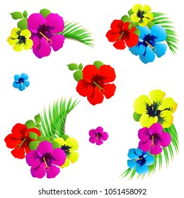 Hawaiian flowers, exotic plants, isolated on a white