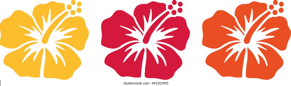 Hawaiian Flowers - Hibiscus Blossoms