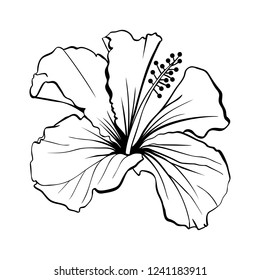 Hawaiian Hibiscus Laser Cut Vector. Fragrance Outline Flower. Mallow Chenese Rose. Black and White Flora. Isolated Botany Plant with Petals. Tropical Karkade or Bissap Herbal Tea, Crimson Blossom svg