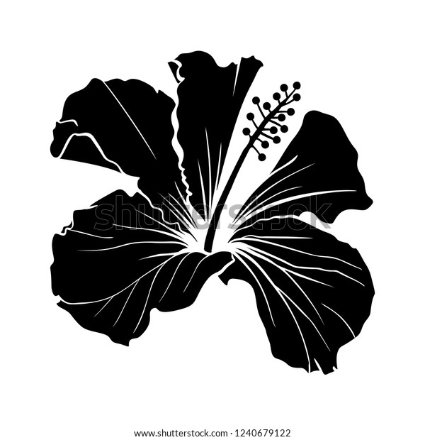 ハワイハイビスカスレーザーカットベクターシルエット 香りの花 モロー シェニーズ ローズ 白黒植物花びらを持つ植物 熱帯のカルカードまたはビサップハーブティー 深紅の花 のベクター画像素材 ロイヤリティフリー