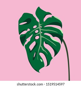 Hawaiian leaves, bright green, pink background