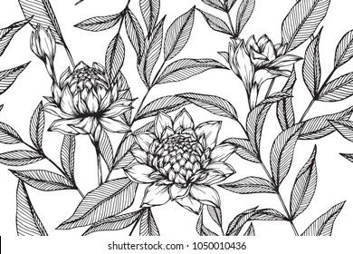  Hawaiian pattern seamless background with Torch ginger flower and leaf  drawing illustration. 