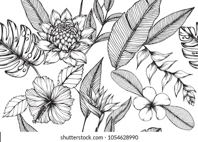 Hawaiian pattern seamless background with Tropical leaf, Heliconia, Hibiscus, Plumeria flower drawing illustration. 