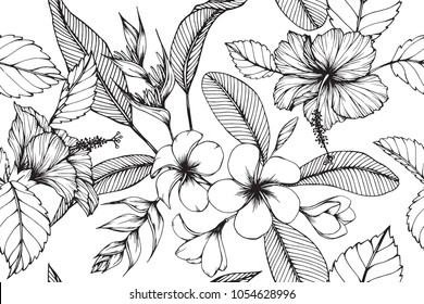Hawaiian Pattern Seamless Background With Tropical Leaf, Heliconia, Hibiscus, Plumeria Flower Drawing Illustration. 