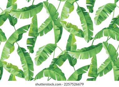 Hawaiian seamless pattern with banana palm leaves. Tropical plants in realistic style. Foliage design. Vector botanical illustration on a black background.