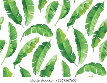 Hawaiian seamless pattern with banana palm leaves. Tropical plants in realistic style. Foliage design. Vector botanical illustration on a black background.