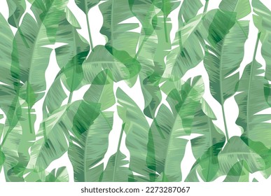 Hawaiian seamless pattern with banana palm leaves. Tropical plants in realistic style. Foliage design. Vector botanical illustration on a white background.