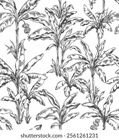 Hawaiian seamless pattern with banana palm trees. Tropical foliage design on a white background. Botanical sketch. Vector monochrome illustration.