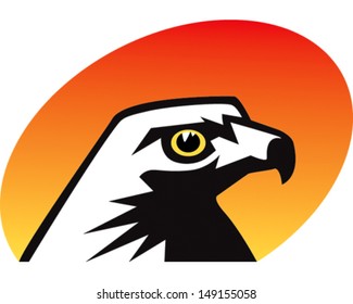 Hawk