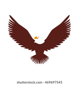 hawk animal bird america wildlife wing head open vector  illustration isolated