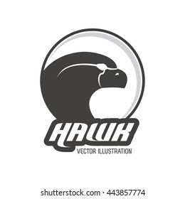 Hawk animal icon. Bird design. Vector graphic