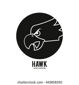 Hawk animal icon. Bird design. Vector graphic