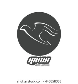 Hawk animal icon. Bird design. Vector graphic