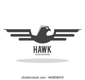 Hawk animal icon. Bird design. Vector graphic